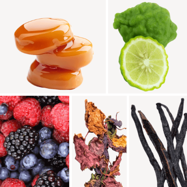 Duftnoten: Patschuli, Karamell, Bergamotte, Rotebeeren, Vanille